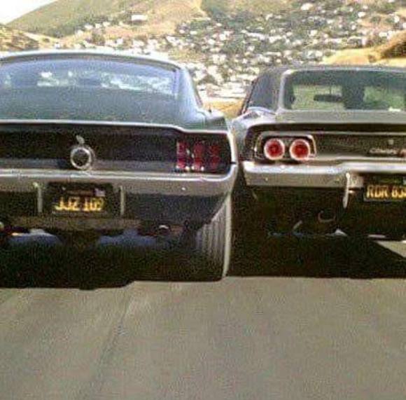 Meet your Posher, Kevin - Picture 1 of 1